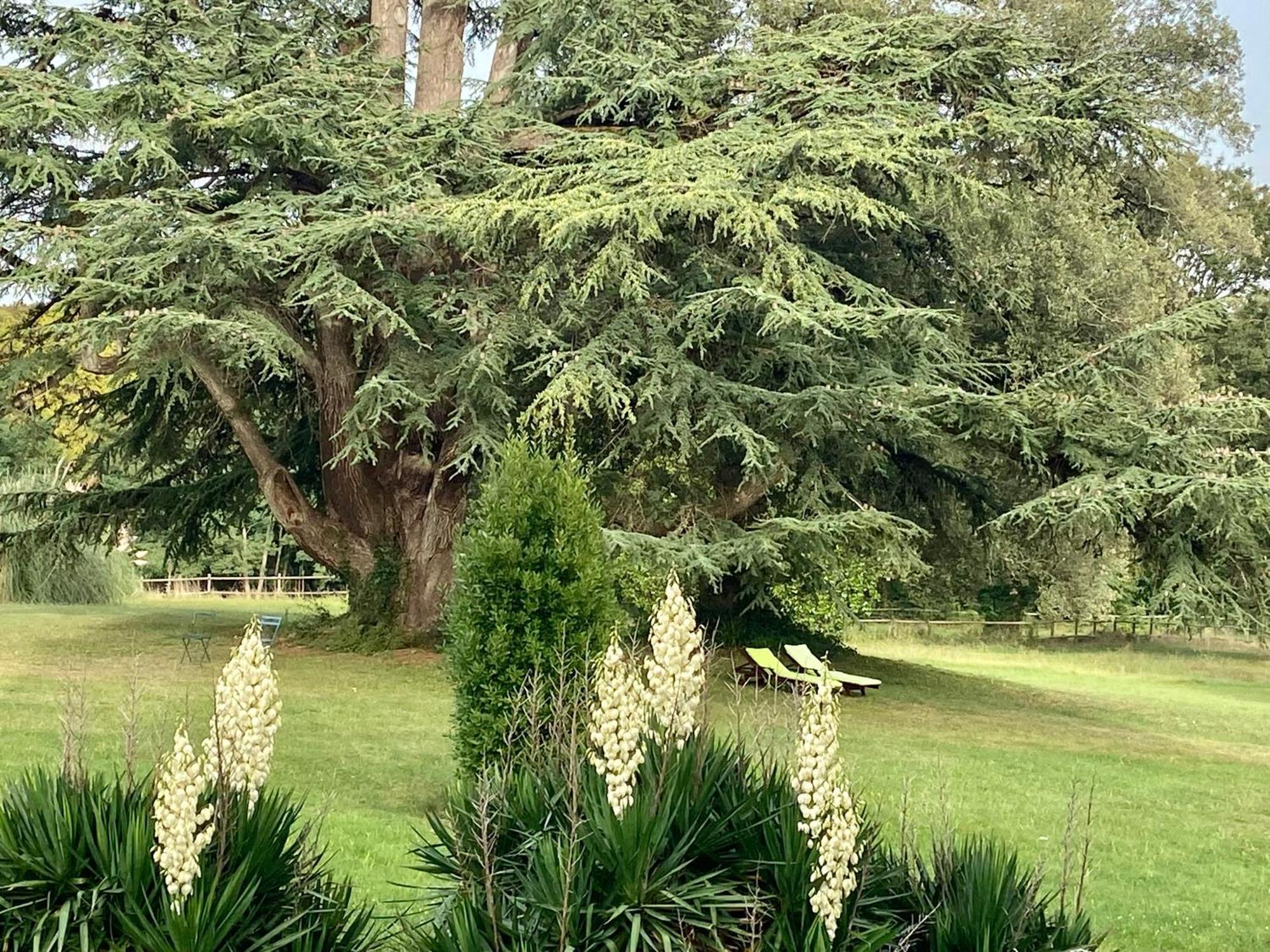 Chateau La Bainerie Tierce Екстериор снимка